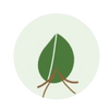 PureRoot Organics - Home